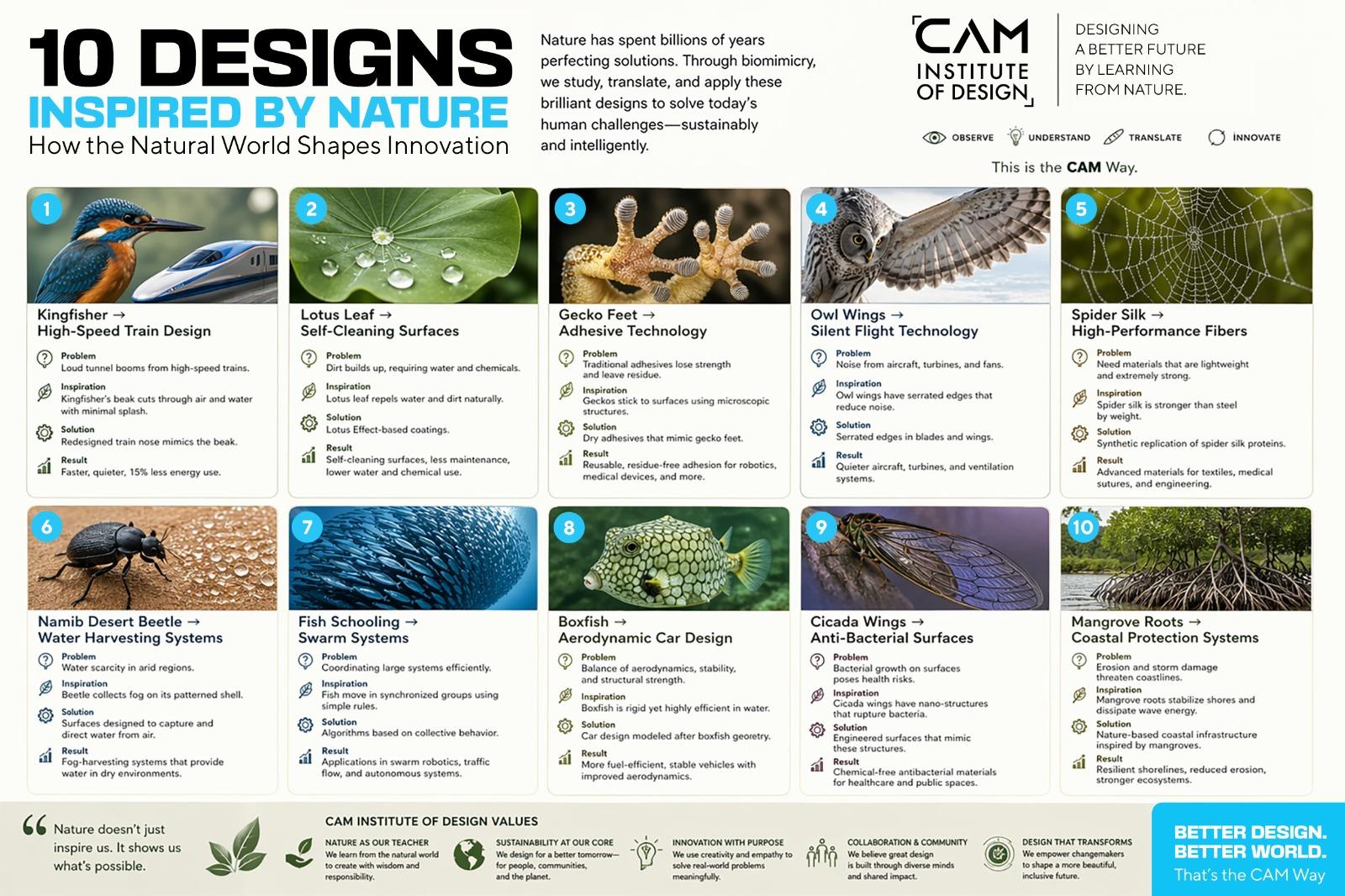 10 Designs Inspired by Nature: How the Natural World Shapes Innovation